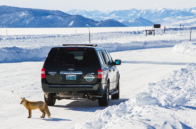 4 hour Snowshoe in Grand Teton National Park - Unique Stops and Scenic Points Along the Route