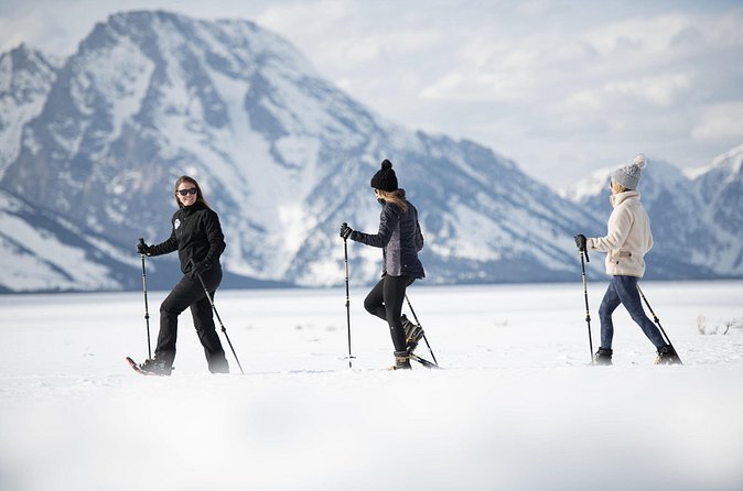 4 hour Snowshoe in Grand Teton National Park - Flexibility and Customization of the Tour Experience