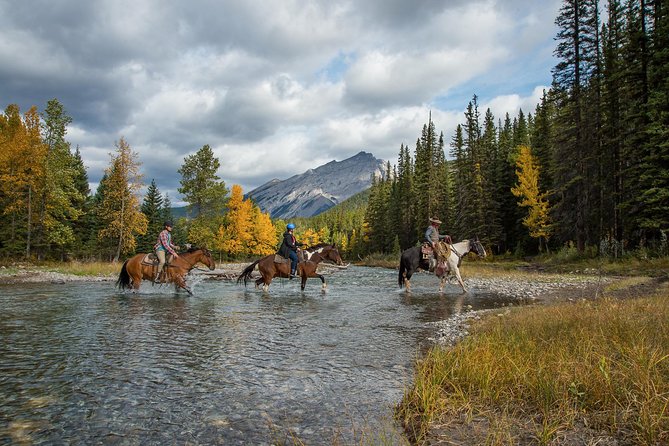 4 Hour Sulphur Mountain Horseback Ride - What to Expect During the Trail