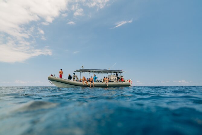4 Hour Super-Raft Snorkeling Experience in Kailua-Kona - What Marine Life and Sightings Can Be Expected?