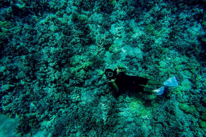 4 Hour Super-Raft Snorkeling Experience in Kailua-Kona - The Experience of the Crew and Guides