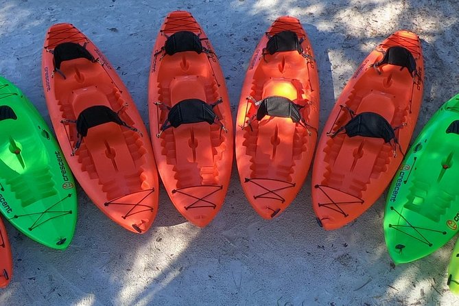 4 Hour Tandem Kayak Rental For Two People In Crystal River, Florida - What’s Included in the Kayak Rental