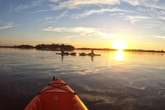 4 Hour Tandem Kayak Rental For Two People In Crystal River, Florida - Wildlife and Seasonal Considerations