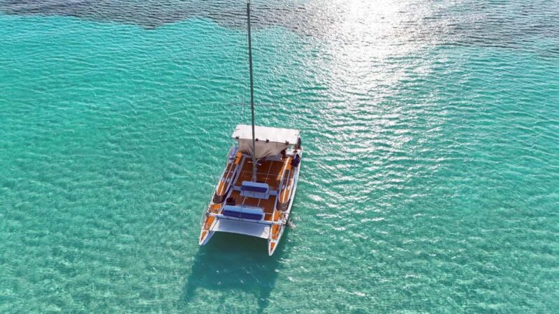 4 Hour Turtle Sanctuary Experience on a Luxury Catamarán - Discover the 4 Hour Turtle Sanctuary Experience on a Luxury Catamaran in Quintana Roo