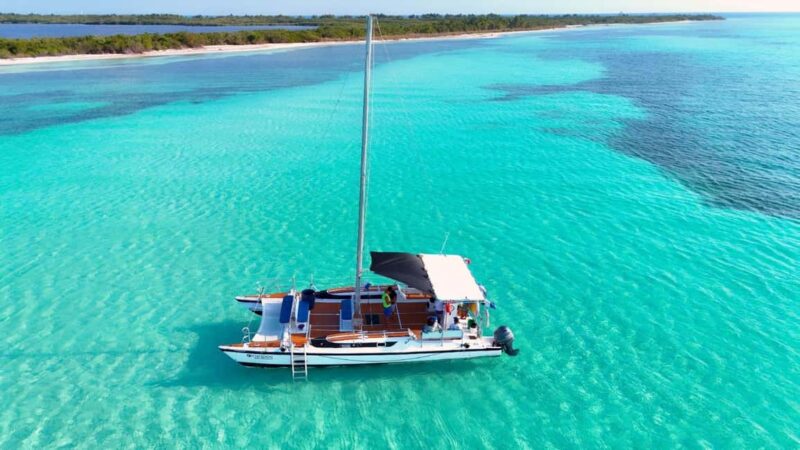 4 Hour Turtle Sanctuary Experience on a Luxury Catamarán - Inside the Spacious and Comfortable Catamaran