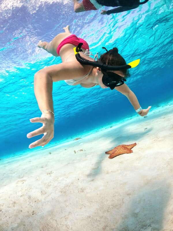 4 Hour Turtle Sanctuary Experience on a Luxury Catamarán - Visiting the Turtle Sanctuary and Marine Life Encounters