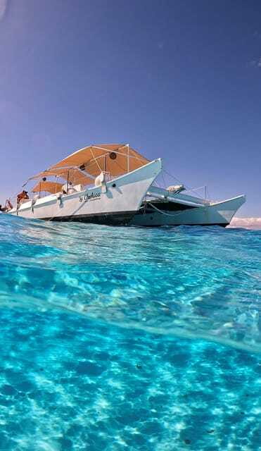 4 Hour Turtle Sanctuary Experience on a Luxury Catamarán - Food, Drinks, and Onboard Amenities