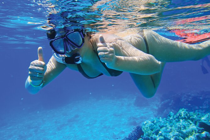 4 Hour Yacht Excursion in Mallorca El Blade - Key Points