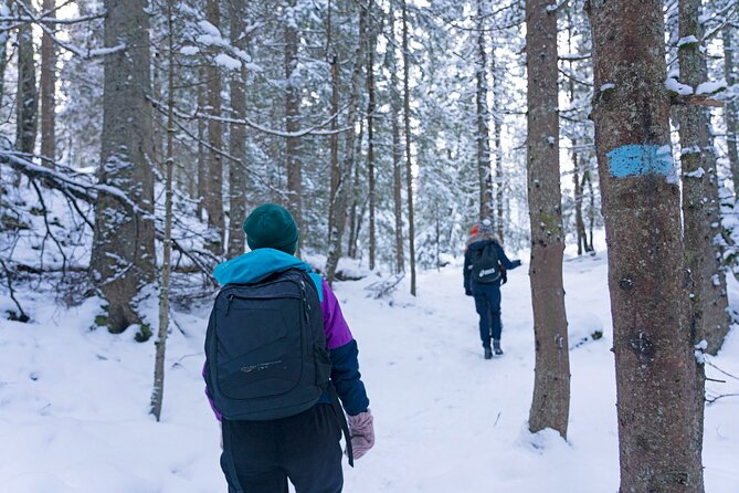 4 hours Best View of the Oslofjord Winter Edition - The Experience of the Guides and Nature