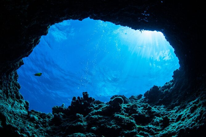4 Hours Caves, Snorkeling and Swimming Tour in Dubrovnik - Sunj Beach on Lopud Island