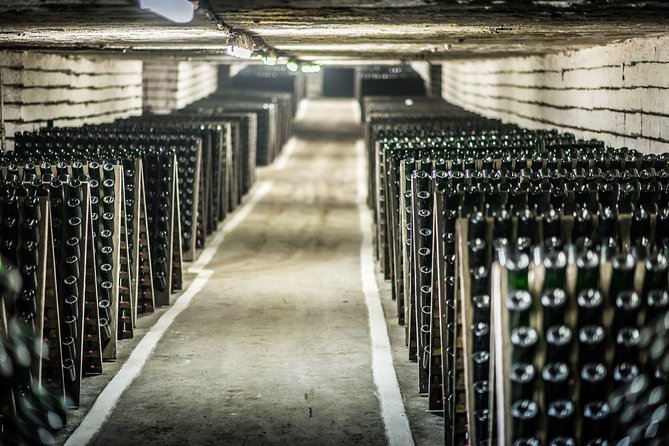 4 Hours Cricova Winery Tour with Tasting - The Wine Tasting Experience and Its Highlights