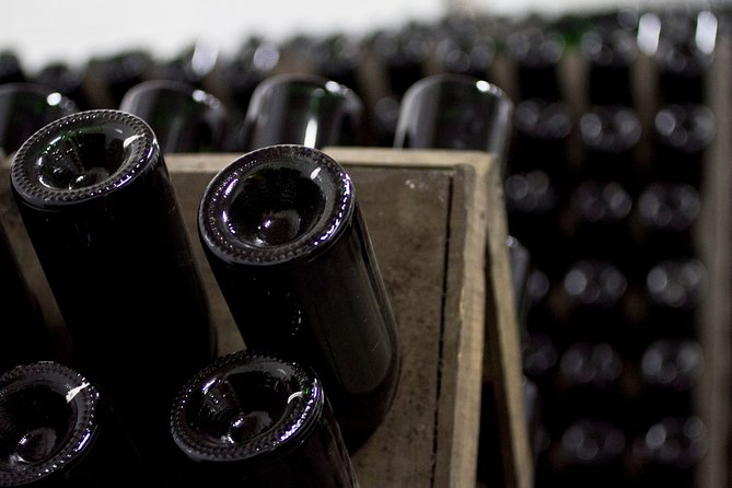 4 Hours Cricova Winery Tour with Tasting - The Guide’s Role and Tour Atmosphere