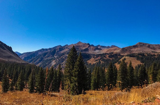 4 Hours Durango Colorado - Jeep Tour - Why This Tour Stands Out Among Durango Experiences