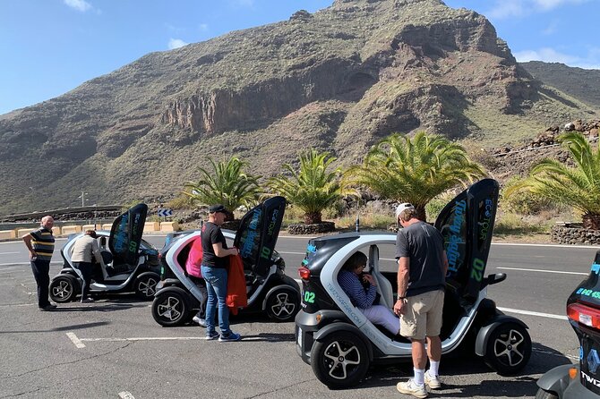 4 Hours Eco Safari Tour with Electric Car in Tenerife - Exploring Tenerife’s Mountain Interior in Electric Twizy Cars