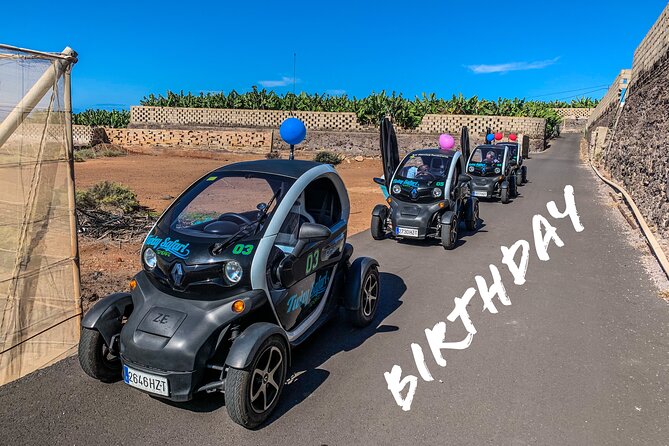 4 Hours Eco Safari Tour with Electric Car in Tenerife - Walking Through a Banana Plantation at Puerto de Santiago