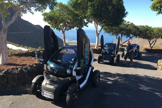 4 Hours Eco Safari Tour with Electric Car in Tenerife - Discovering Lava Fields and Volcanic Landscapes
