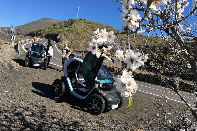 4 Hours Eco Safari Tour with Electric Car in Tenerife - Local Culture and Architecture in Canarian Villages