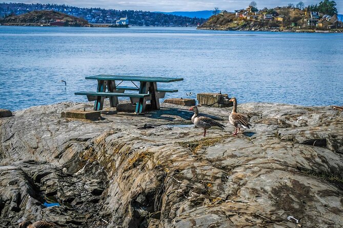 4 Hours Island Hopping Tour in Oslo - Relaxing at Hovedøya Beach and the Leisurely Hike