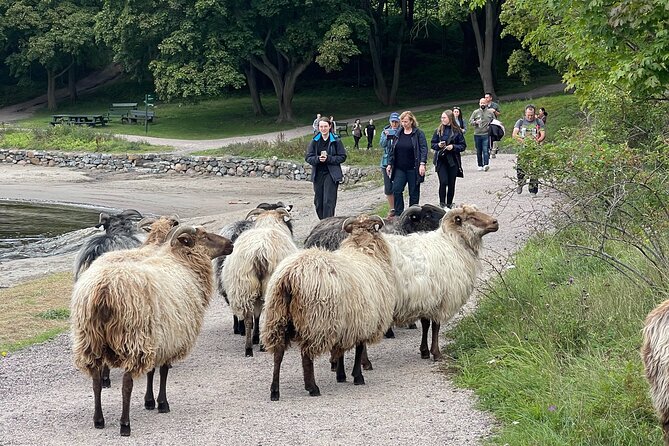 4 Hours Island Hopping Tour in Oslo - Practical Tips and Considerations