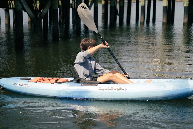 4 hours Kayak Rental - Crystal Rivers Manatee Hotspot and Year-Round Wildlife Viewing