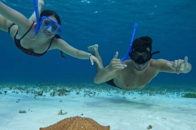 4 hours of shared snorkeling to El Cielo - Visiting El Cielo Beach: A Starfish Sanctuary