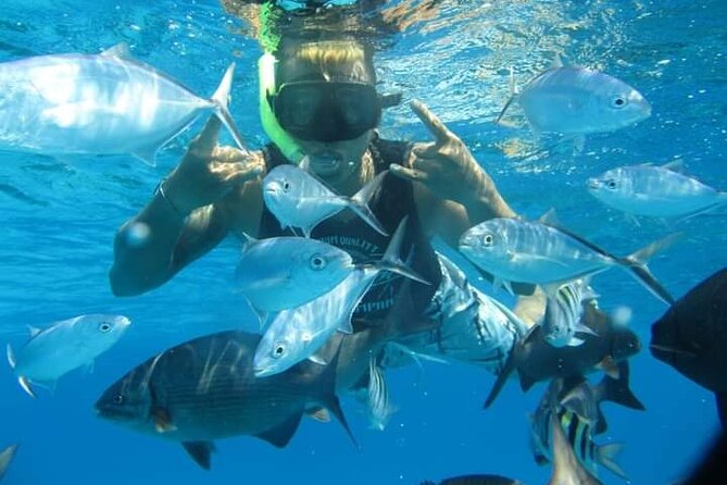 4 hours of shared snorkeling to El Cielo - Pacing and Duration of the Tour