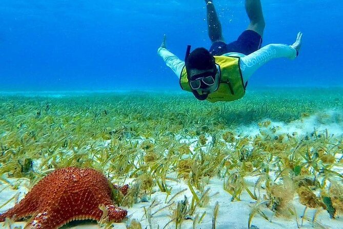 4 hours of shared snorkeling to El Cielo - Customer Service and Guide Expertise