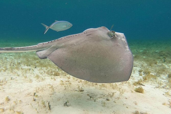 4 hours of shared snorkeling to El Cielo - Weather and Cancellation Policies