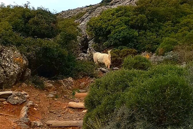 4 Hours Private Hiking on the Strouboulas Mountain, Heraklion - Key Points