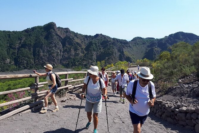 4 Hours Vesuvius Volcano Tour - Discover the 4 Hours Vesuvius Volcano Tour from Naples
