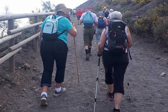 4 Hours Vesuvius Volcano Tour - Practical Tips for the Ascent