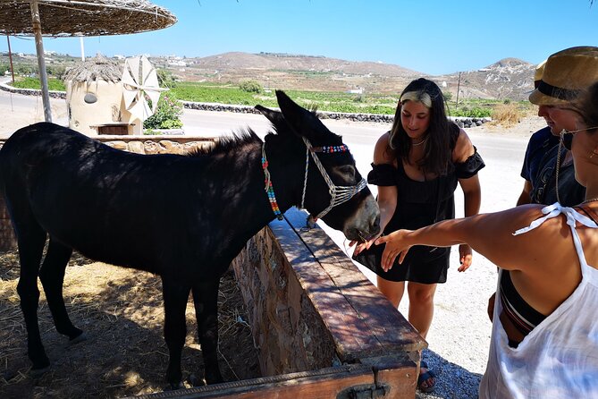 4 hrs PRIVATE island tour and photos, Oia and Blue domes - Firostefani and the Blue Dome Church