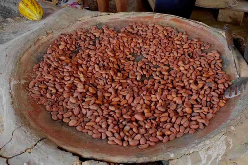 4-in-1 Tour - Mazunte, Cacao Factory & Turtle Spawn/Release - What Sets This Tour Apart