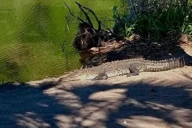 4-in-1 Tour - Mazunte,Cacao Factory, La Ventanilla & Turtle Spawn - Flexibility and Cancellation Policies