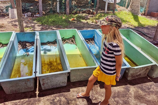 4-in-1 Tour - Mazunte,Cacao Factory, La Ventanilla & Turtle Spawn - Frequently Asked Questions