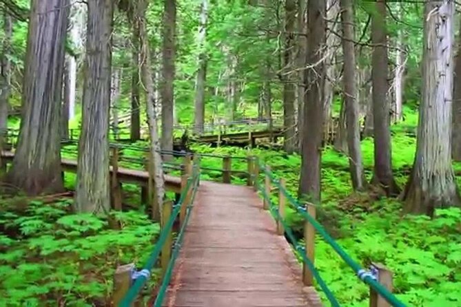 4 Smartphone Audio Driving Tours between Calgary & Vancouver - Revelstoke to Lake Louise: Iconic Parks and Natural Wonders