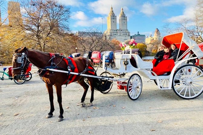 45 Minute VIP Central Park Carriage Ride - Key Points