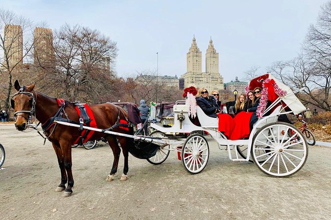 45 Minute VIP Central Park Carriage Ride - What You See During the Carriage Ride