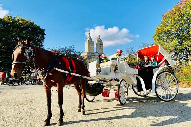 45 Minute VIP Central Park Carriage Ride - Value and Cost Considerations