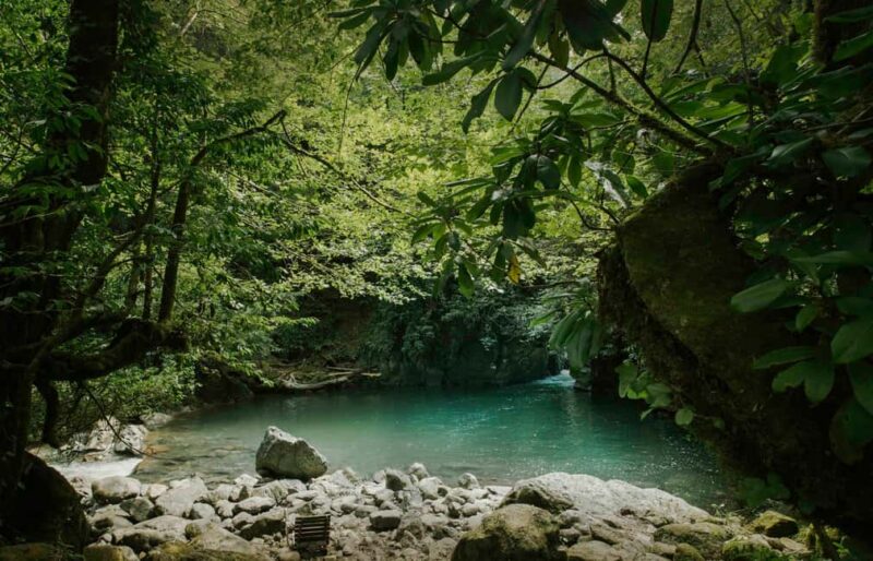 4D Batumi Essence Tour with guide - Experience the Natural Splendor at Mtirala National Park