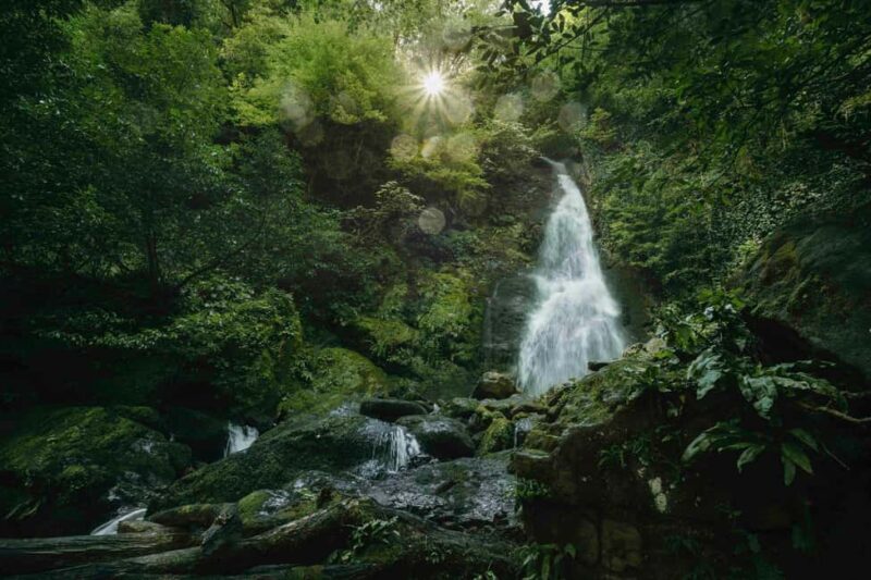 4D Batumi Essence Tour with guide - Flexible Booking with Cancellation and Payment Options