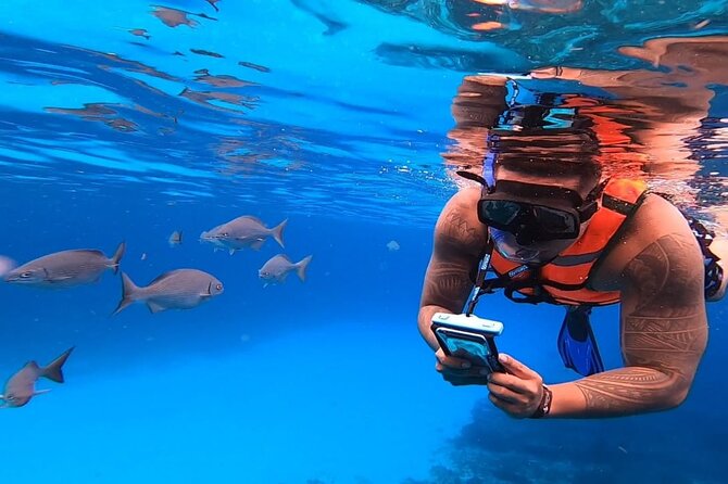 4H Luxury 44' Catamaran All-Inclusive in Tulum & Playa del Carmen - Key Points