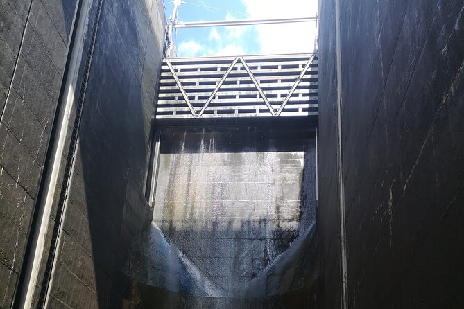 4H Private Boat Trip on the Douro River - Feel the Nature - The Stops at Lomba Beach and Rio Inha