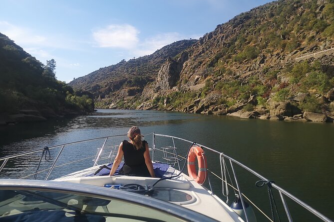 4H Private Boat Trip on the Douro River - Feel the Nature - Who Will Love This Douro River Trip