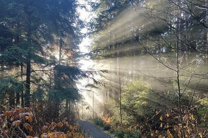 4hr Custom Private Tour of Ketchikan (14 People) Wildlife + More - Explore the Best of Ketchikan with a Private 4-Hour Tour for Up to 14 People