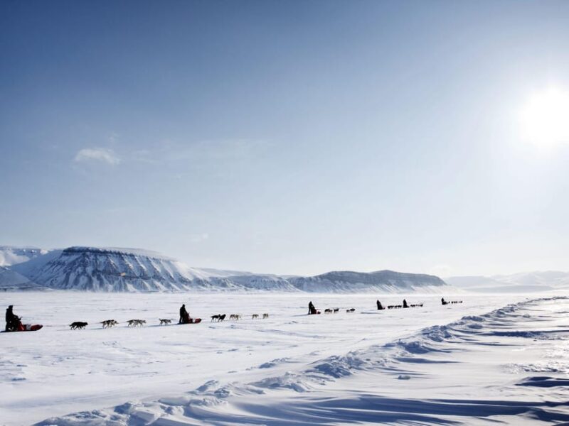 4hr Dog Sledding Trip on Finnmarksvidda - Logistics and Meeting Details at Alta