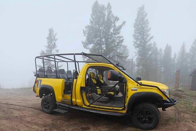 4WD Panoramic Peak Photo Tour in Estes Park - Discovering the Famous "The Mummy," "The Bear Tree," and Ancient Aspens