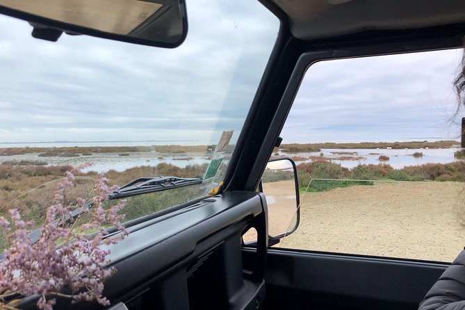 4x4 Camargue Safari 4h - Departure from Arles - Reliable and Knowledgeable Guides Make the Difference