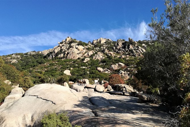 4x4 excursion between mountain and sea - Exploring Sardinia’s Unique Contrasts with 4x4 Off-Roading