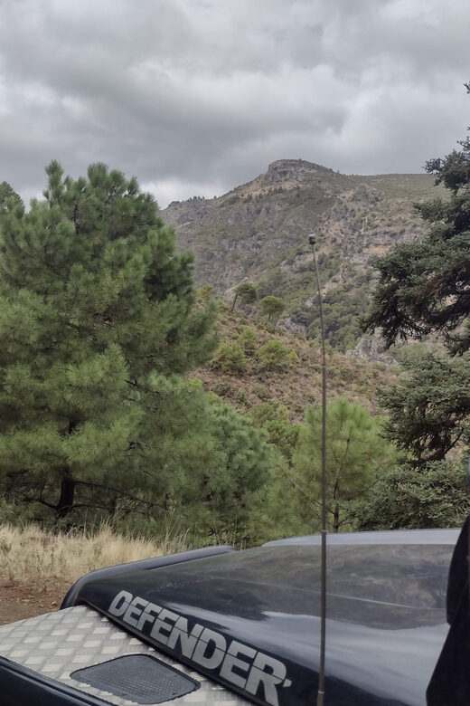 4x4 in the heart of the Sierra de las Nieves National Park - Exploring Sierra de las Nieves’ Biodiversity